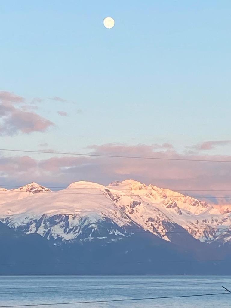 1 Lynn View